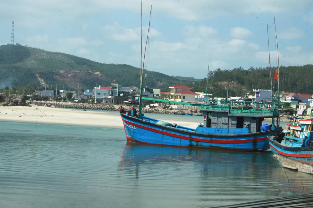 Quảng Ngãi: Hàng trăm tàu cá không thể ra khơi vì luồng lạch bị bồi lấp ảnh 4