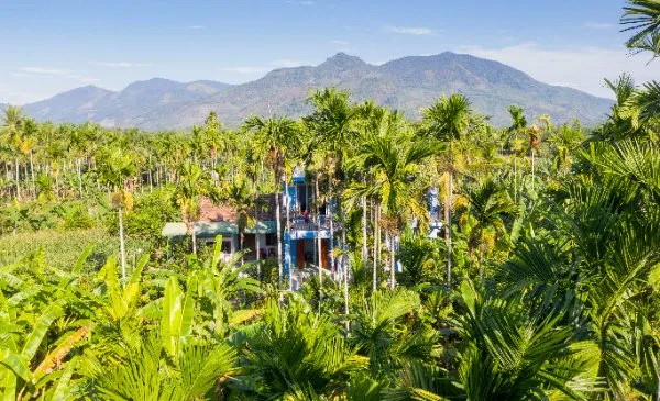 Chàng trai xây dựng thư viện miễn phí với 14.000 cuốn sách cho học sinh  ảnh 3