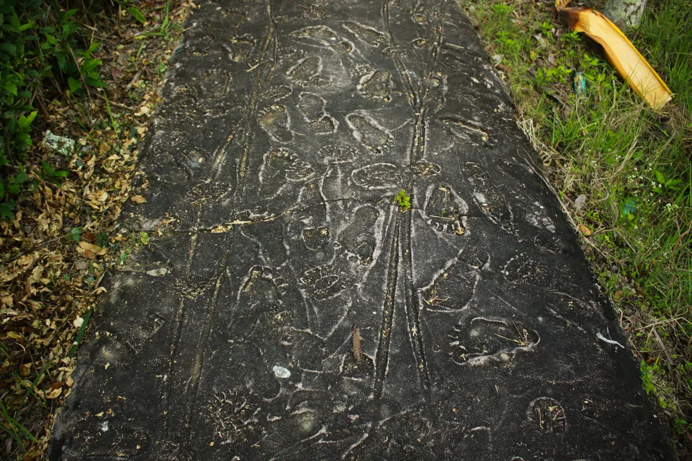 Tưởng niệm 53 năm Ngày 504 đồng bào Sơn Mỹ bị thảm sát ảnh 9