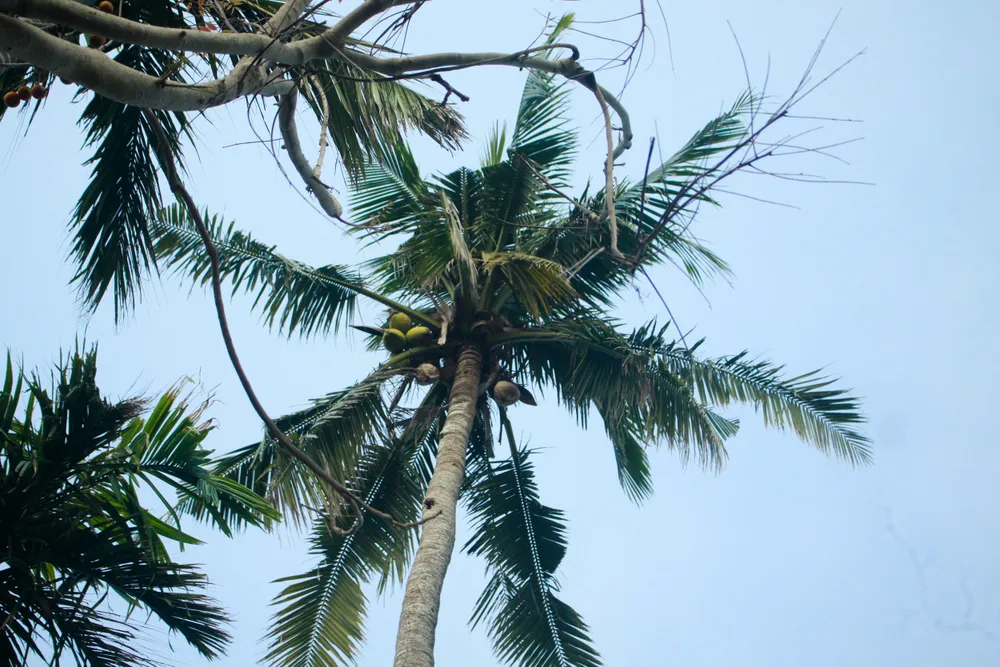 Tưởng niệm 53 năm Ngày 504 đồng bào Sơn Mỹ bị thảm sát ảnh 11