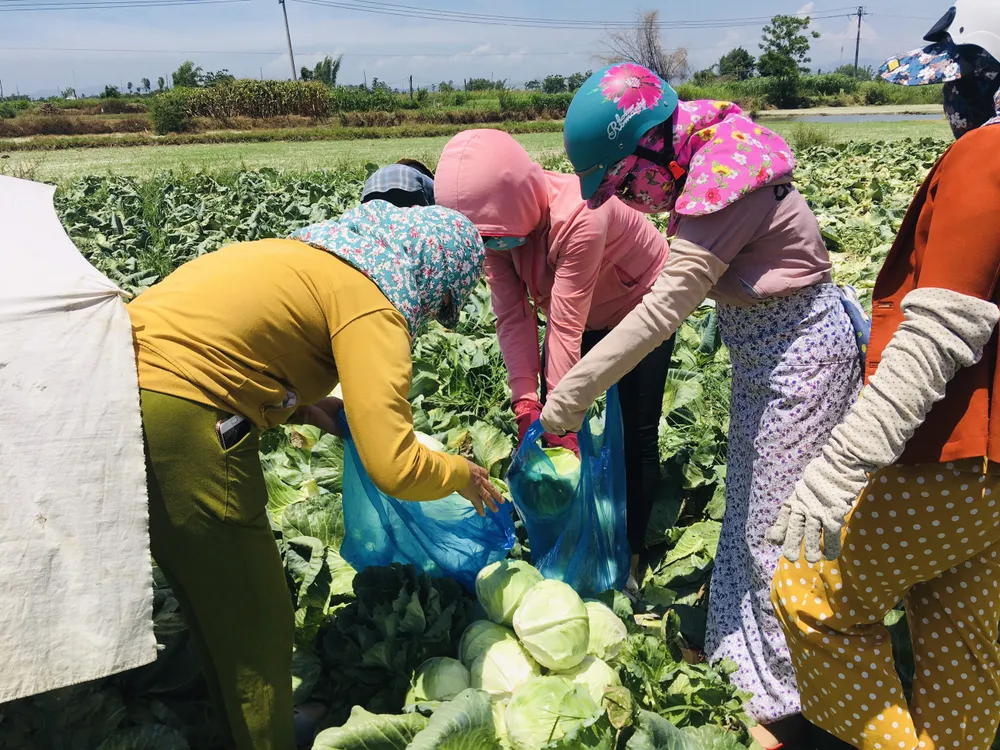 Nấu cơm và hỗ trợ thực phẩm cho người dân yên tâm cách ly phòng chống Covid-19 ảnh 17