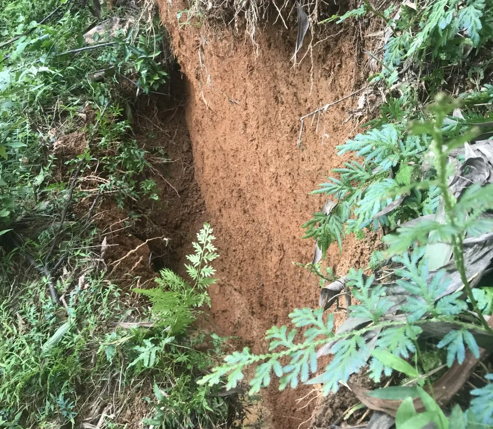 Khẩn cấp chống sạt lở núi Van Cà Vãi  ảnh 3