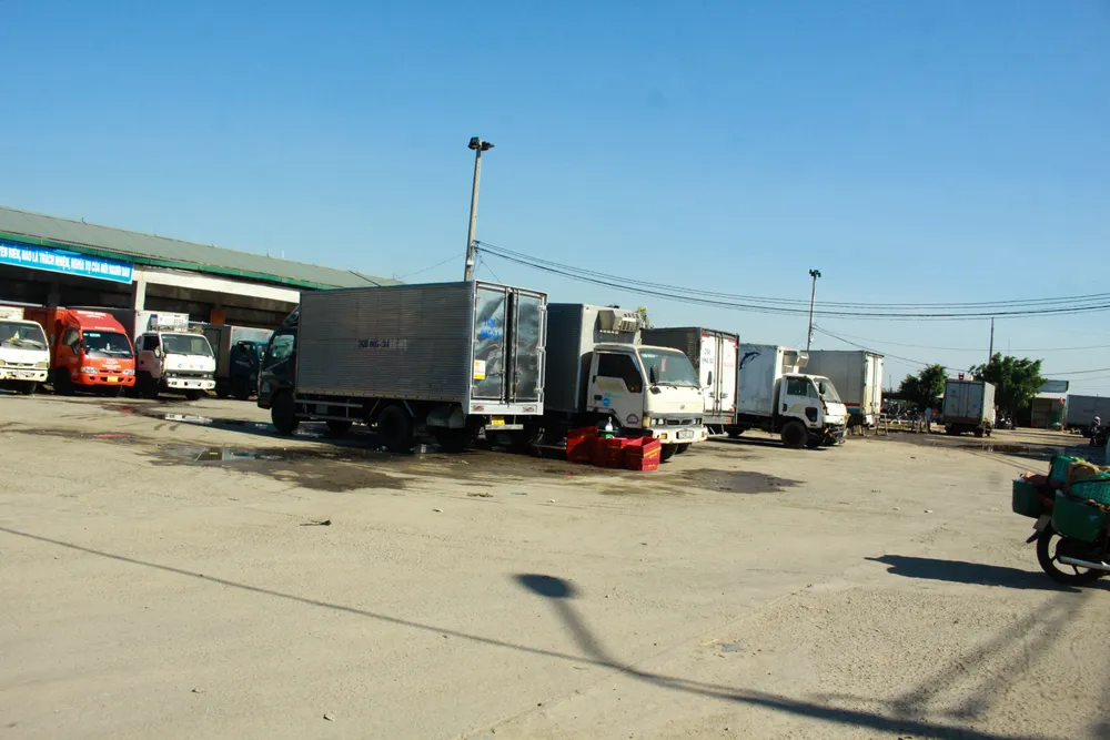 Quảng Ngãi vừa chống dịch vừa đảm bảo hoạt động tại cảng cá ảnh 3