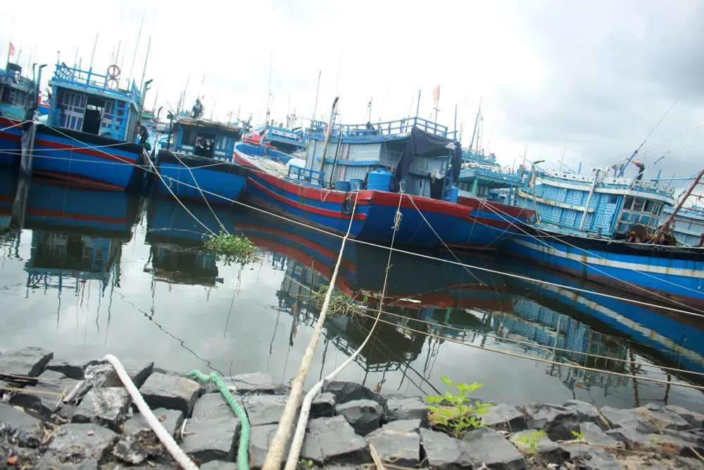 Quảng Ngãi cấm tàu thuyền ra khơi khi gió mạnh cấp 6 trở lên ảnh 1
