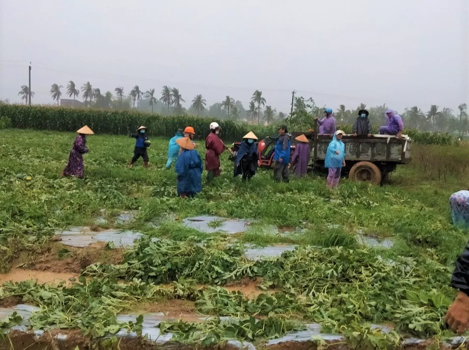 Quảng Ngãi: Cứu hộ tàu cá bị phá nước thả trôi trên biển ảnh 5