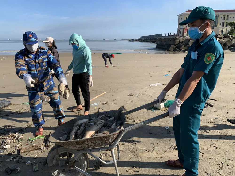 Quảng Ngãi: Chôn lấp hơn 5 tấn cá nuôi lồng bè bị chết sau bão số 5 ảnh 7