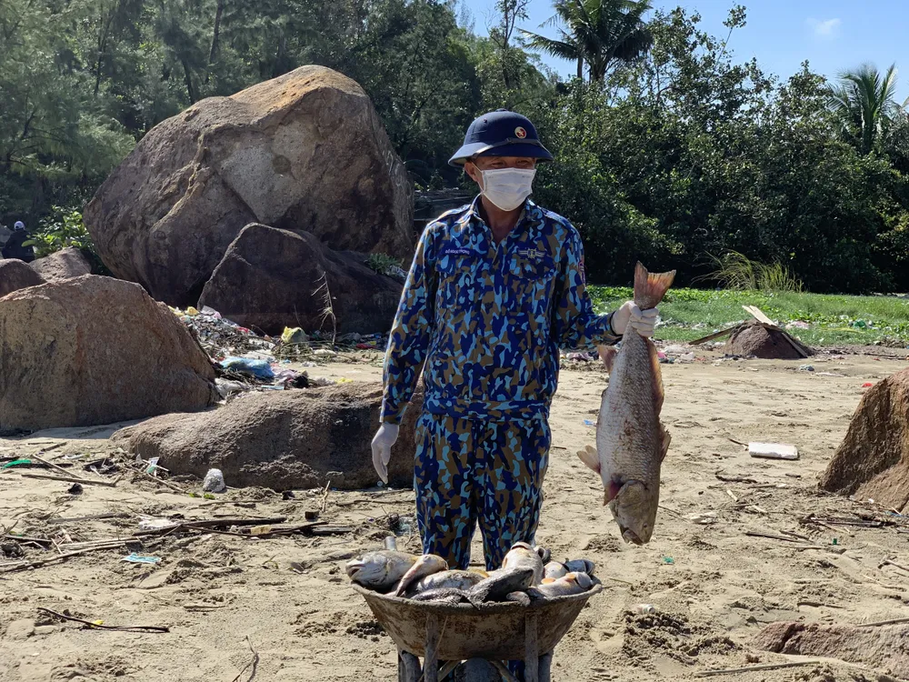 Quảng Ngãi: Chôn lấp hơn 5 tấn cá nuôi lồng bè bị chết sau bão số 5 ảnh 11