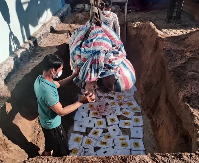 Xác cá voi nặng 700kg trôi dạt vào đảo Lý Sơn ảnh 1