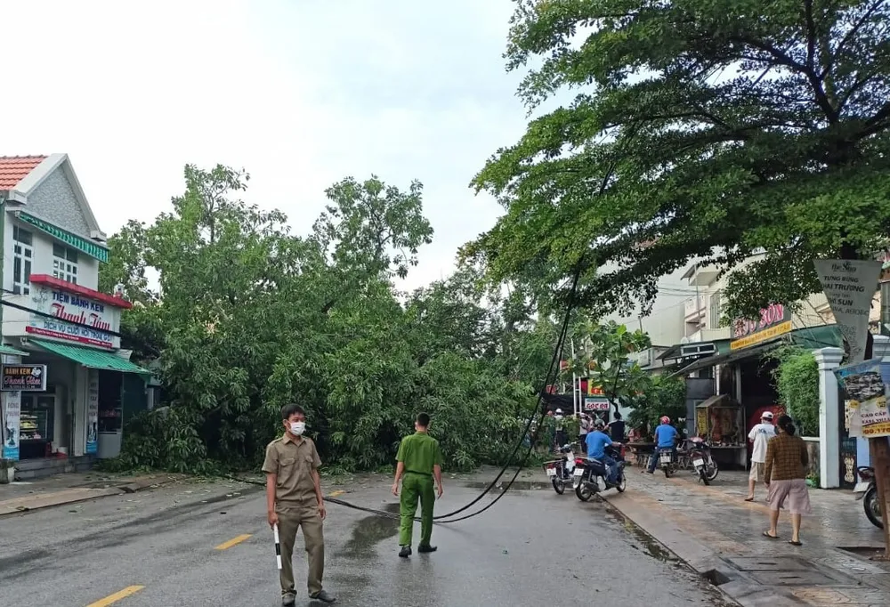 Quảng Ngãi: Cây đa cổ thụ ngã, đè chết 1 người đi đường ảnh 1