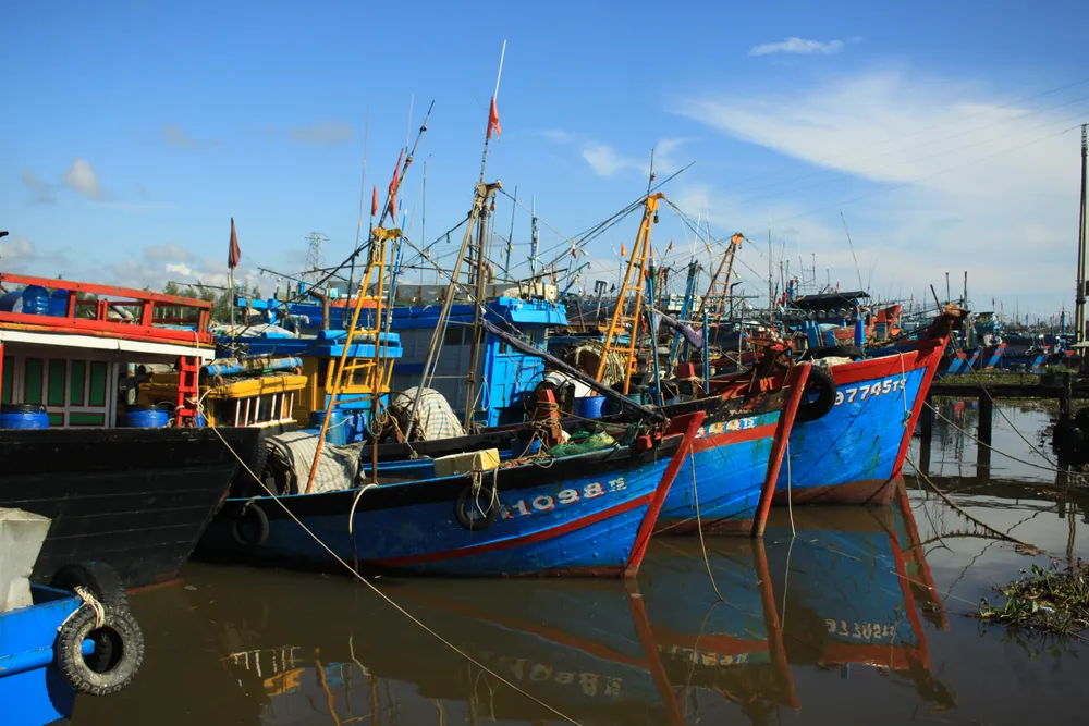 Quảng Ngãi: Nhiều cảng cá mở cửa trở lại, giải quyết hải sản cho ngư dân ảnh 6