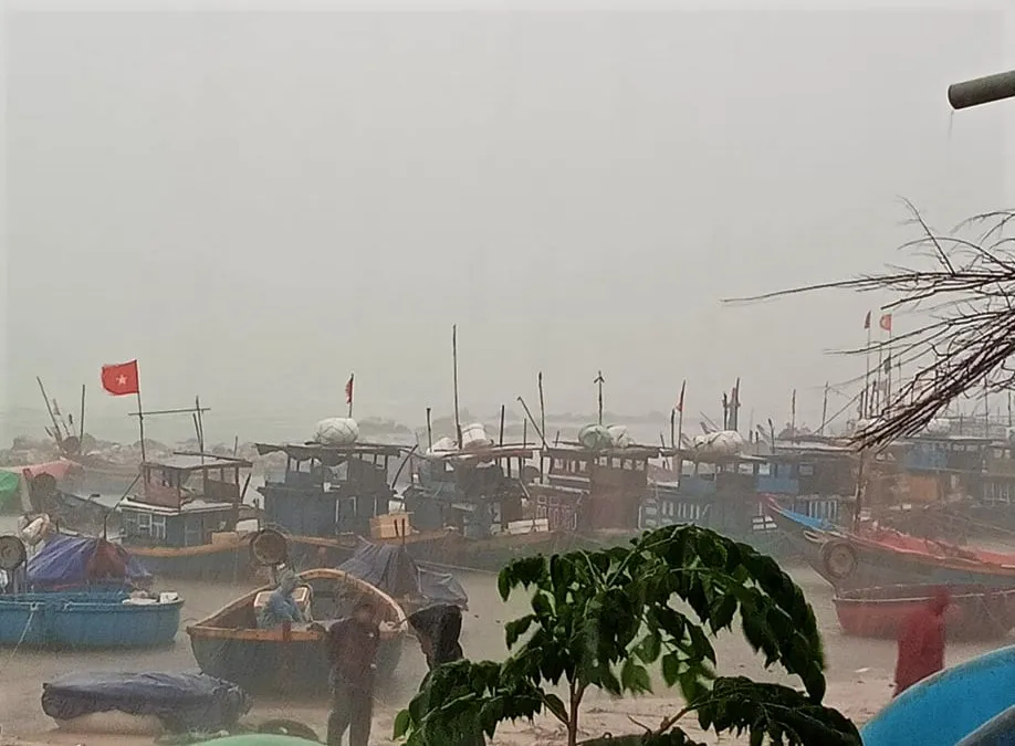 Quảng Ngãi cấm tàu thuyền ra khơi từ 11 giờ ngày 23-9  ảnh 2