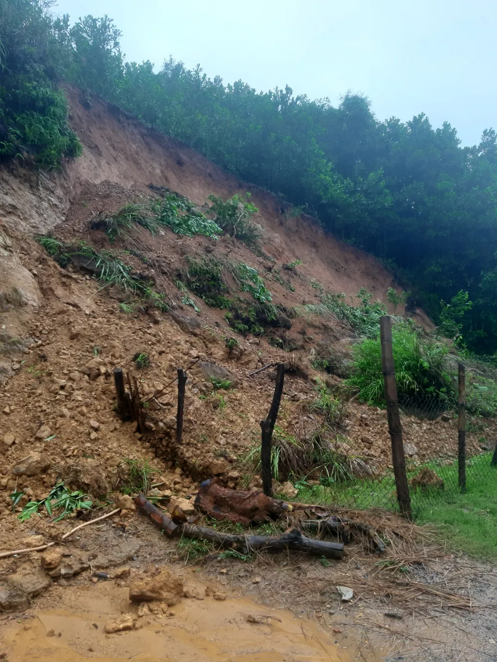 Quảng Ngãi: Mưa lớn, nhiều nơi ngập nặng, sạt lở ảnh 8