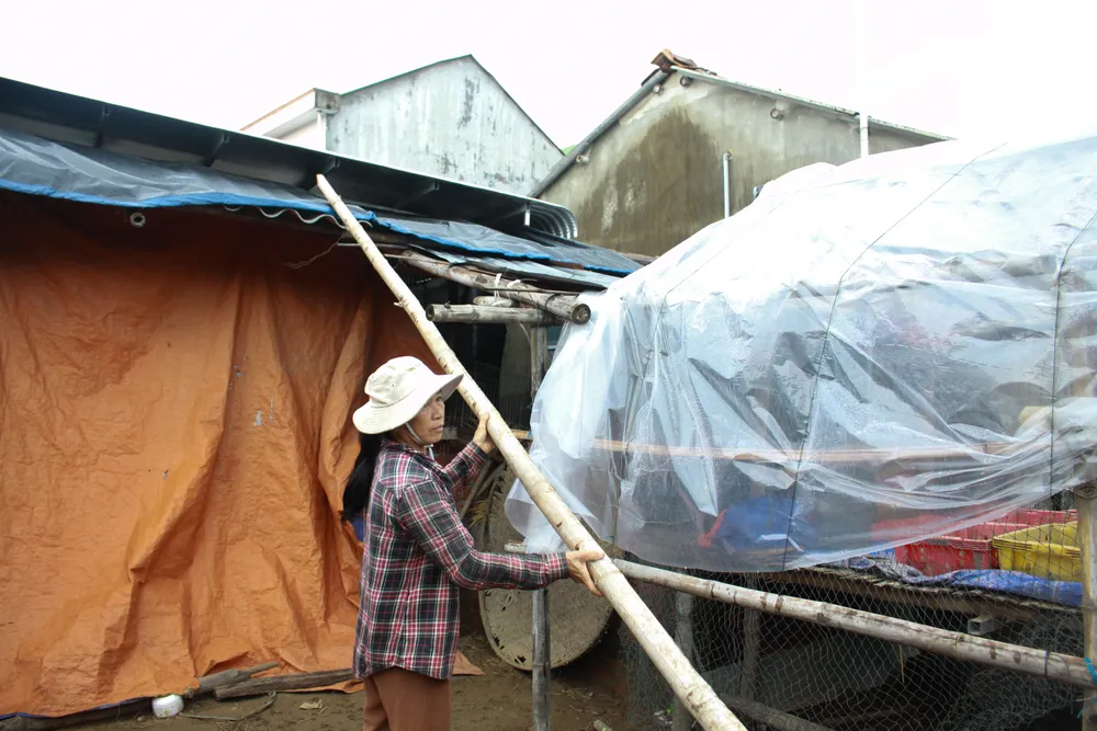 Quảng Ngãi: Lũ vừa tan lại lo mưa lớn do ảnh hưởng áp thấp nhiệt đới ảnh 8