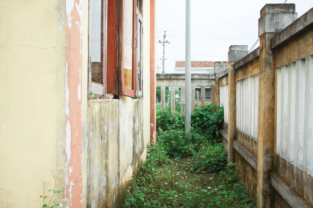 Quảng Ngãi: Hai công trình nước sạch hơn 14 tỷ đồng bị bỏ hoang ảnh 4