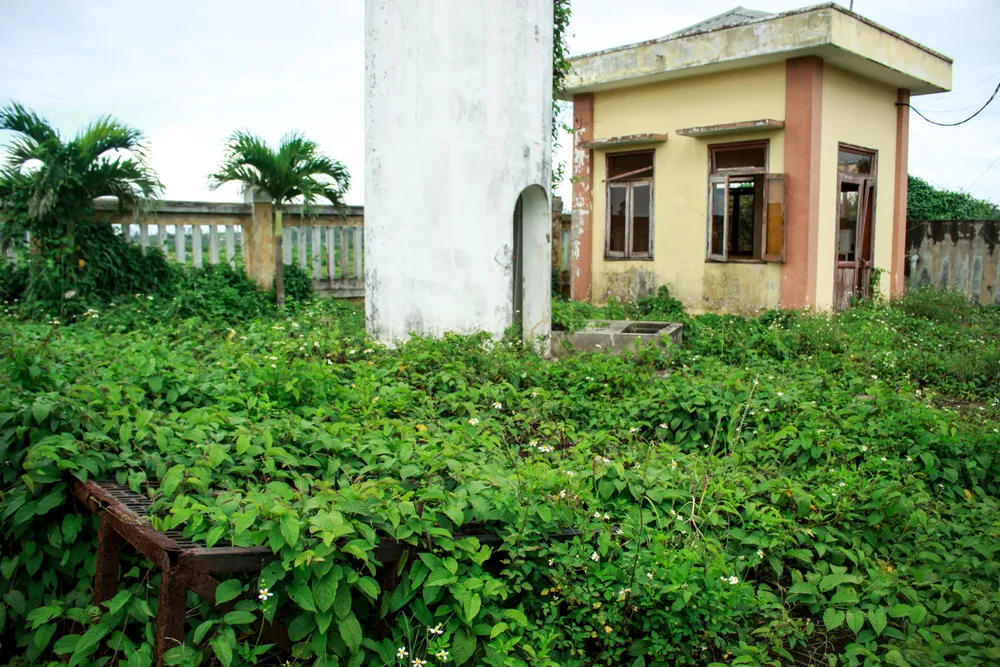 Quảng Ngãi: Hai công trình nước sạch hơn 14 tỷ đồng bị bỏ hoang ảnh 2