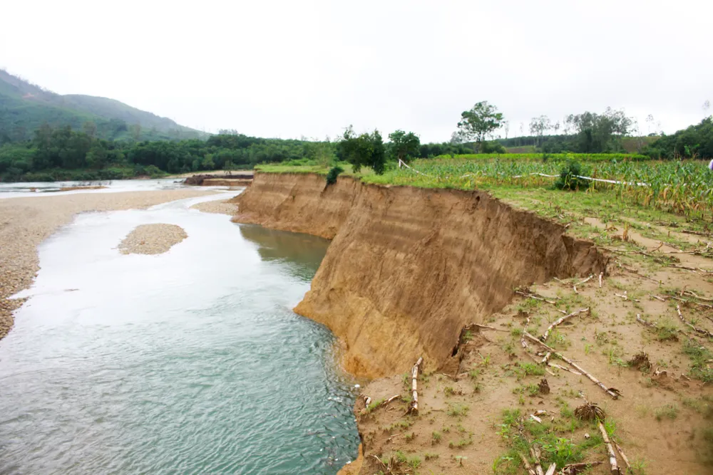 Quảng Ngãi: Sạt lở nghiêm trọng bờ sông Trà Bồng ảnh 3