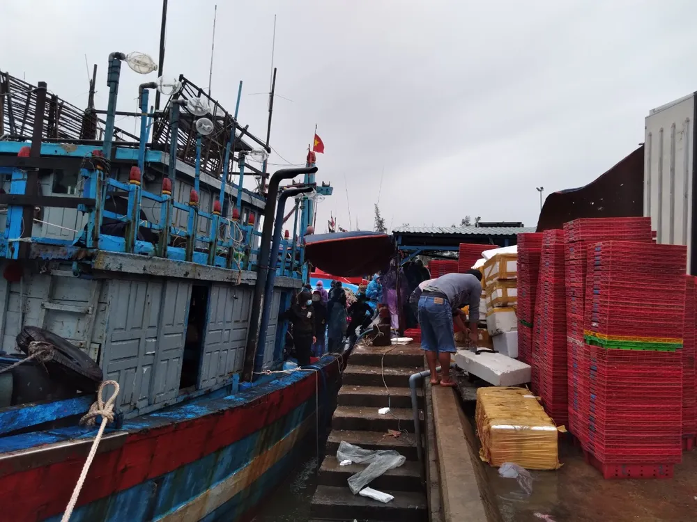 Quảng Ngãi: 32 tỷ đồng nâng cấp, sửa chữa 5 cảng cá ảnh 2