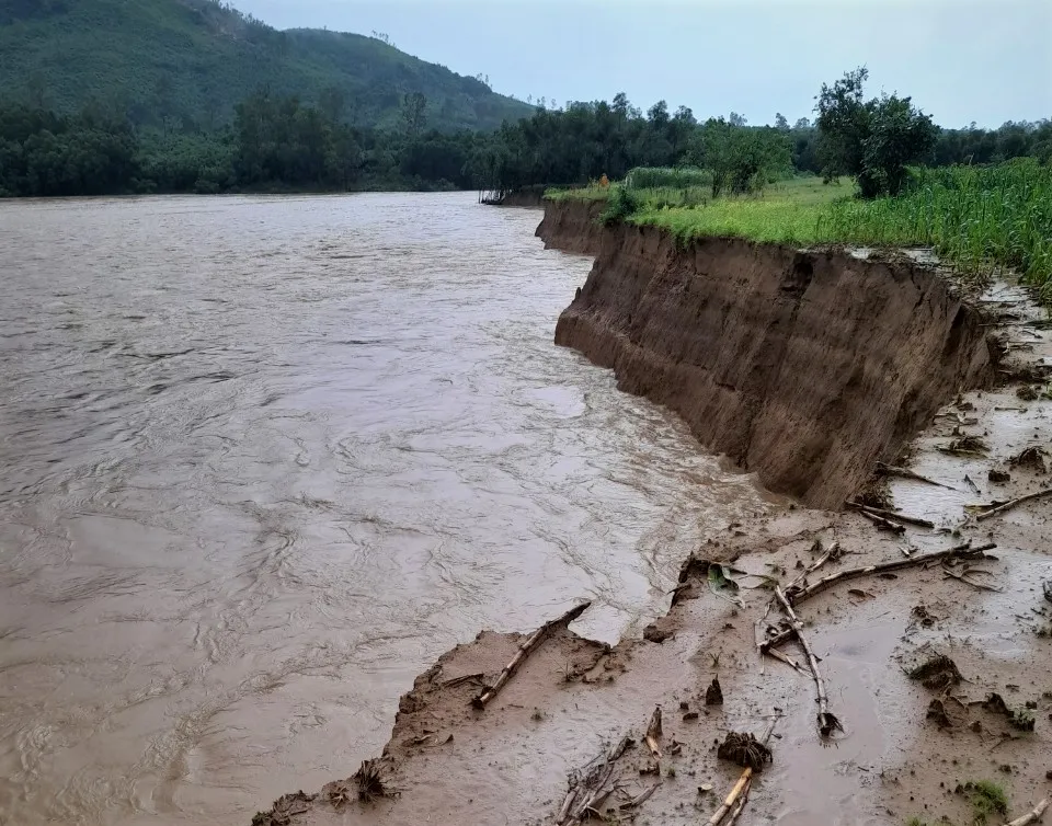 Quảng Ngãi: Lũ trên các sông tiếp tục lên và dao động mức cao ảnh 1