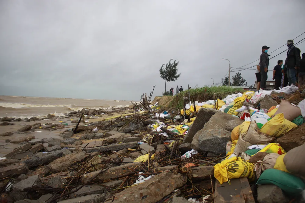 Quảng Ngãi: Người dân nỗ lực gia cố bờ biển đang bị xâm thực nghiêm trọng ảnh 4