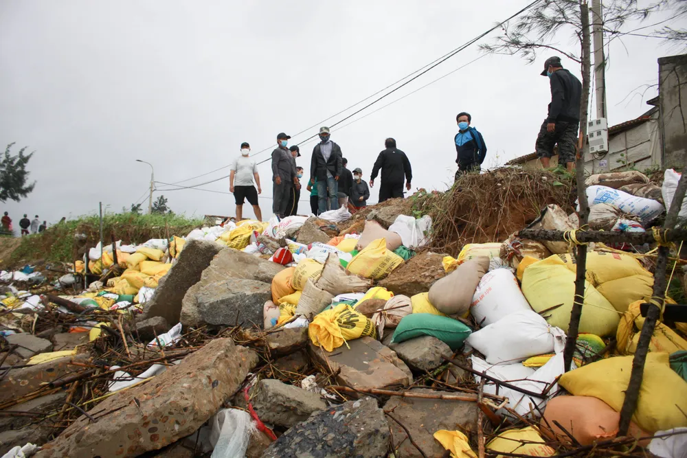 Quảng Ngãi: Người dân nỗ lực gia cố bờ biển đang bị xâm thực nghiêm trọng ảnh 1