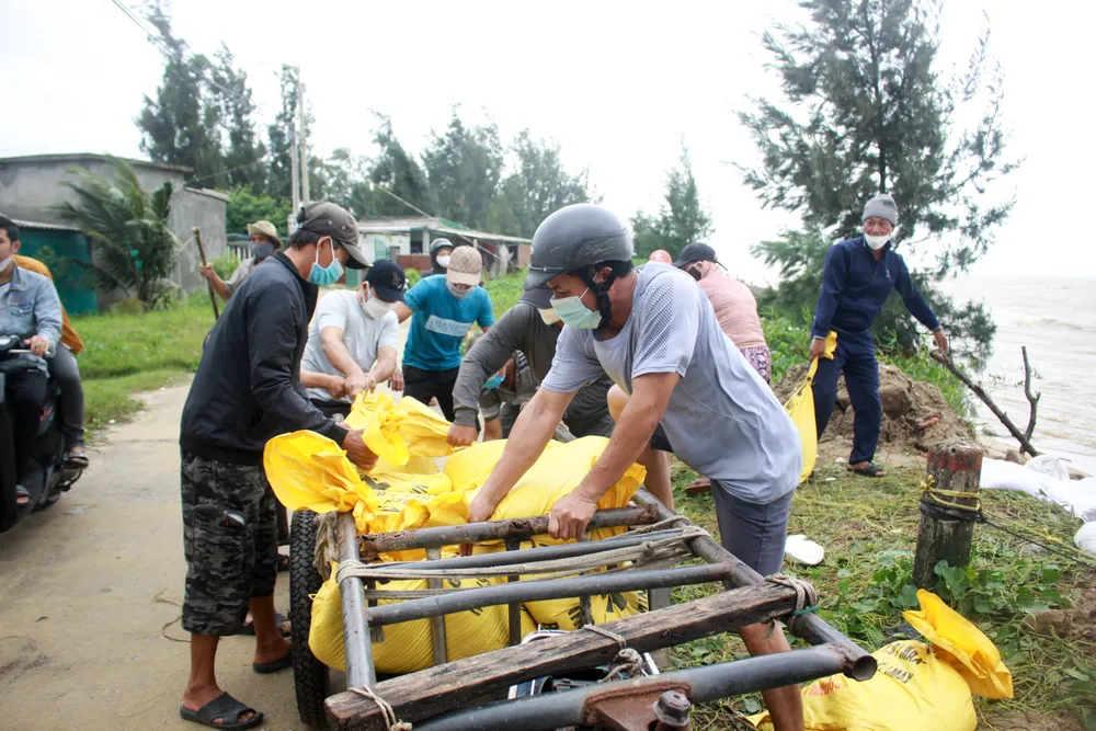 Quảng Ngãi: Người dân nỗ lực gia cố bờ biển đang bị xâm thực nghiêm trọng ảnh 6