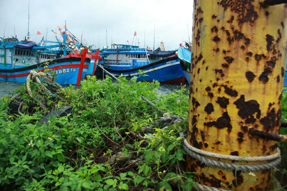 Ứng phó bão RAI: Quảng Ngãi kêu gọi tàu thuyền trú tránh an toàn trước 10 giờ ngày 18-12 ảnh 5