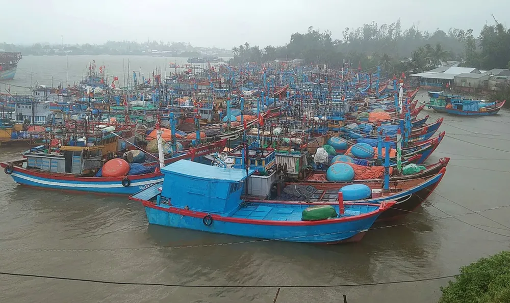 Quảng Ngãi: Người dân chằng chống nhà cửa, các xã ven biển hoàn thành sơ tán dân trước 10 giờ hôm nay ảnh 4