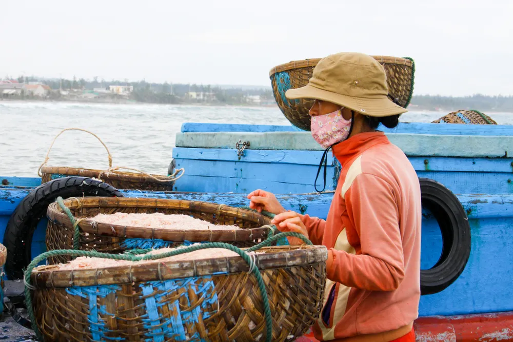 Ngư dân Quảng Ngãi trúng đậm mùa ruốc cuối năm ảnh 7