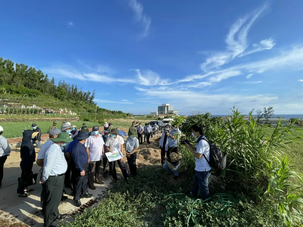 Lý Sơn có dự án khu dân cư đầu tiên vốn gần 663 tỷ đồng ảnh 2