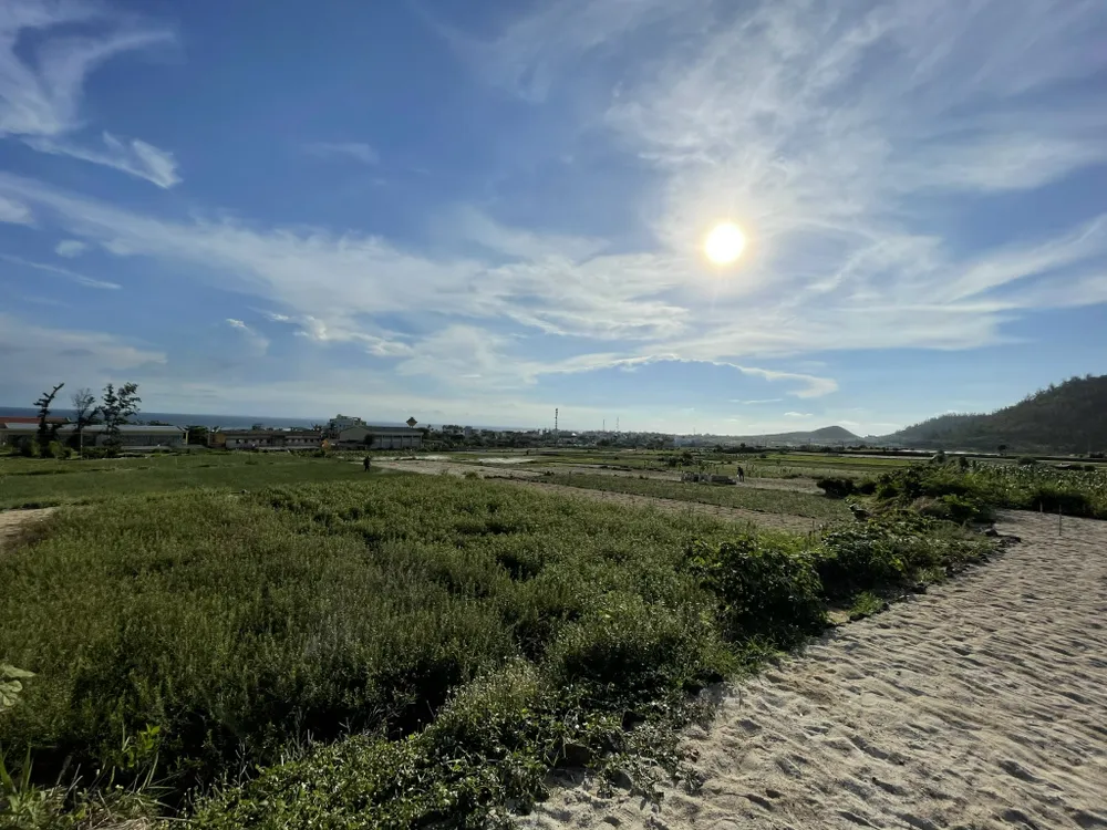 Lý Sơn có dự án khu dân cư đầu tiên vốn gần 663 tỷ đồng ảnh 1