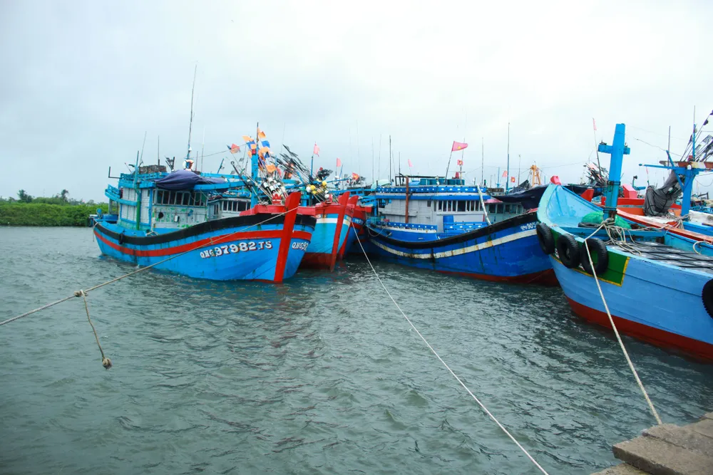 Quảng Ngãi khẩn trương ứng phó diễn biến thời tiết nguy hiểm trên biển và mưa lớn ảnh 1