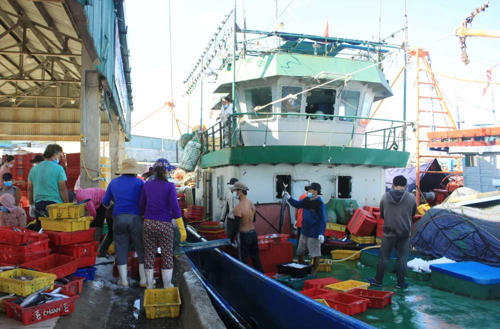 Nâng cao vai trò cộng đồng trong quản lý bảo vệ nguồn lợi thủy sản, chống khai thác thủy sản bất hợp pháp ảnh 4