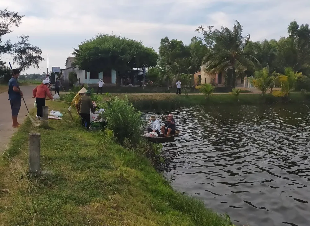 Cá chết hàng loạt chưa rõ nguyên nhân ở Quảng Ngãi ảnh 2