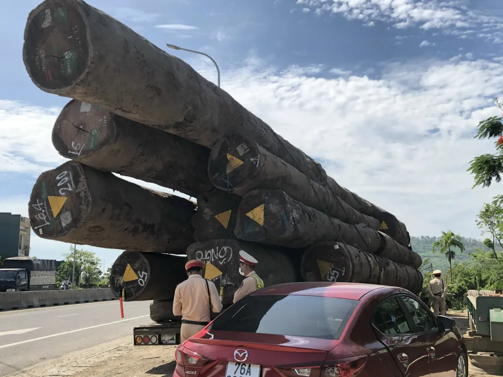 Quảng Ngãi: Tạm giữ xe đầu kéo chở gỗ lim quá khổ, quá tải ảnh 2