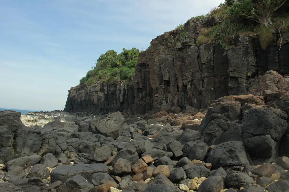 Quảng Ngãi: Rạn san hô ở Gành Yến cần được bảo vệ ảnh 10