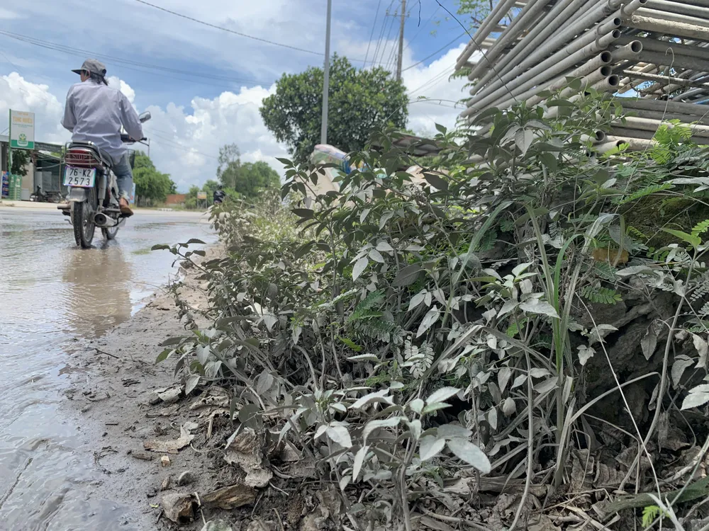 Quảng Ngãi: Đặt trạm cân, lắp camera giám sát chở quá khổ, quá tải Khu kinh tế Dung Quất ảnh 5