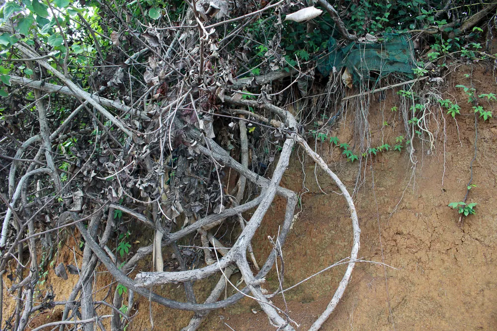 Quảng Ngãi: Hàng chục hộ dân bất an sống cạnh đồi núi sạt lở An Vĩnh ảnh 6