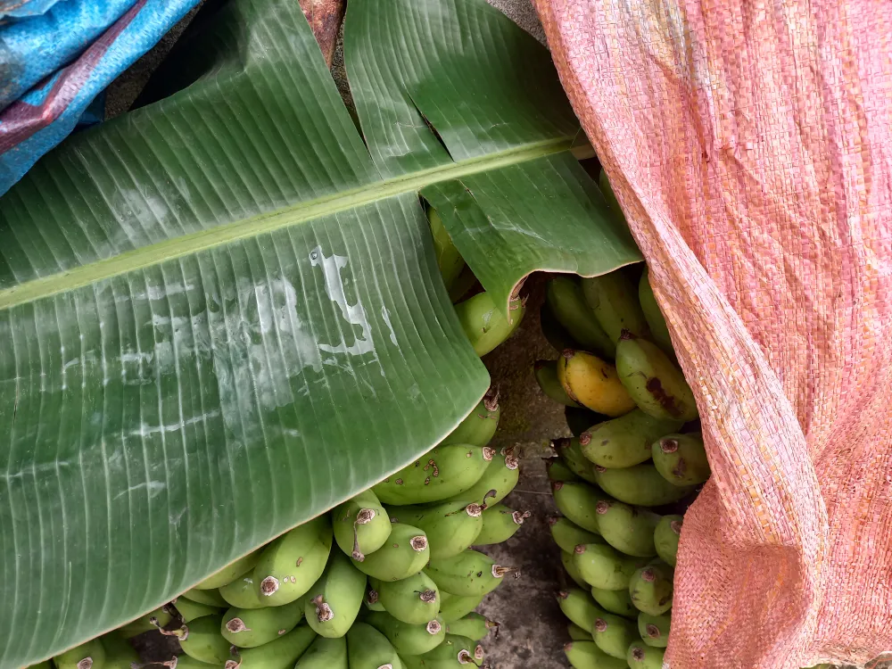 Cuối tuần, đi “chợ” của người Cor trên đỉnh đèo Eo Chim ảnh 5