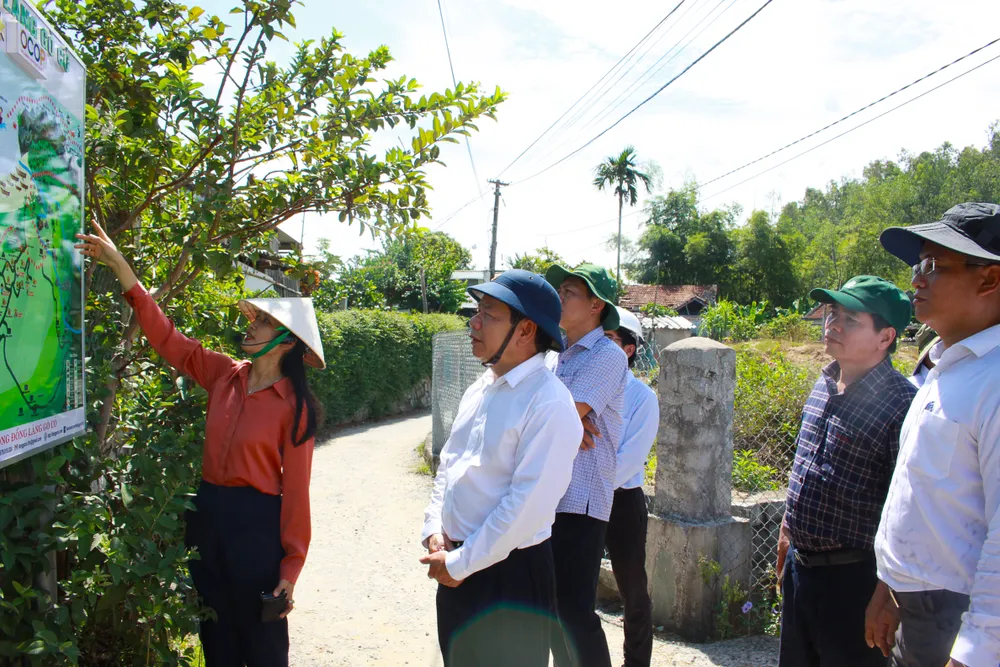 Khảo sát, phát triển các điểm du lịch phía Nam của tỉnh Quảng Ngãi ảnh 5
