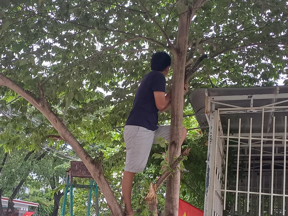 Quảng Ngãi dự kiến sơ tán hơn 84.000 người để phòng chống bão số 4 ảnh 3