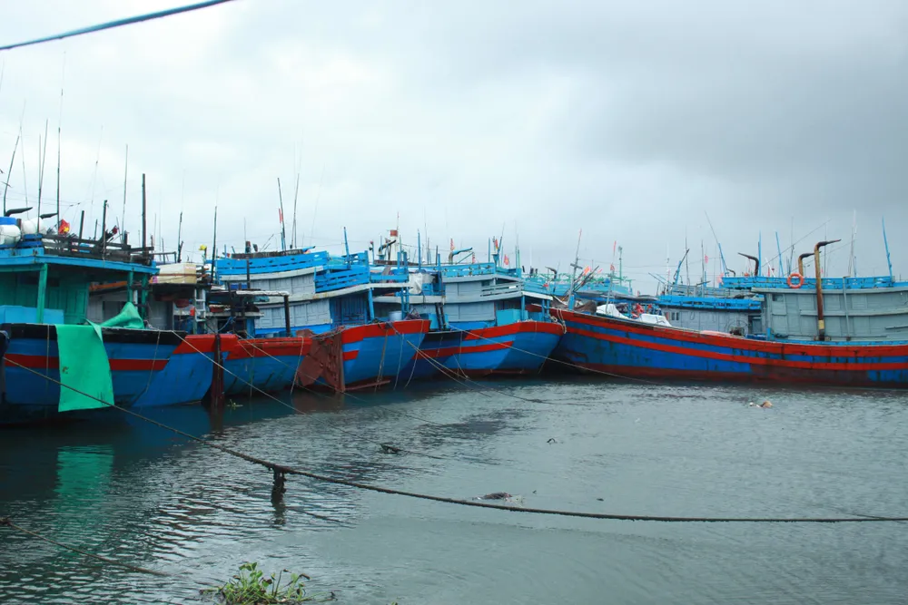 Quảng Ngãi dự kiến sơ tán hơn 84.000 người để phòng chống bão số 4 ảnh 5