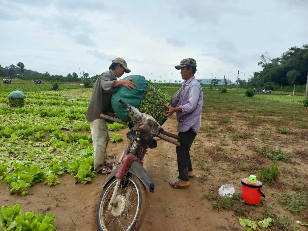 Ngư dân ùn ùn về cảng cá “chạy bão” ảnh 20