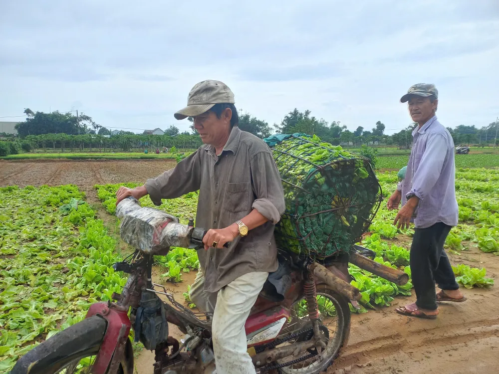 Ngư dân ùn ùn về cảng cá “chạy bão” ảnh 21