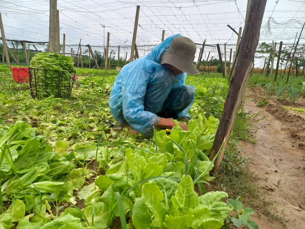 Ngư dân ùn ùn về cảng cá “chạy bão” ảnh 14