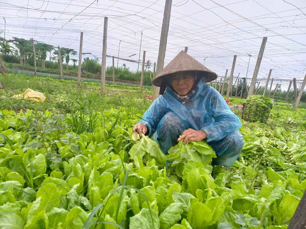 Ngư dân ùn ùn về cảng cá “chạy bão” ảnh 17