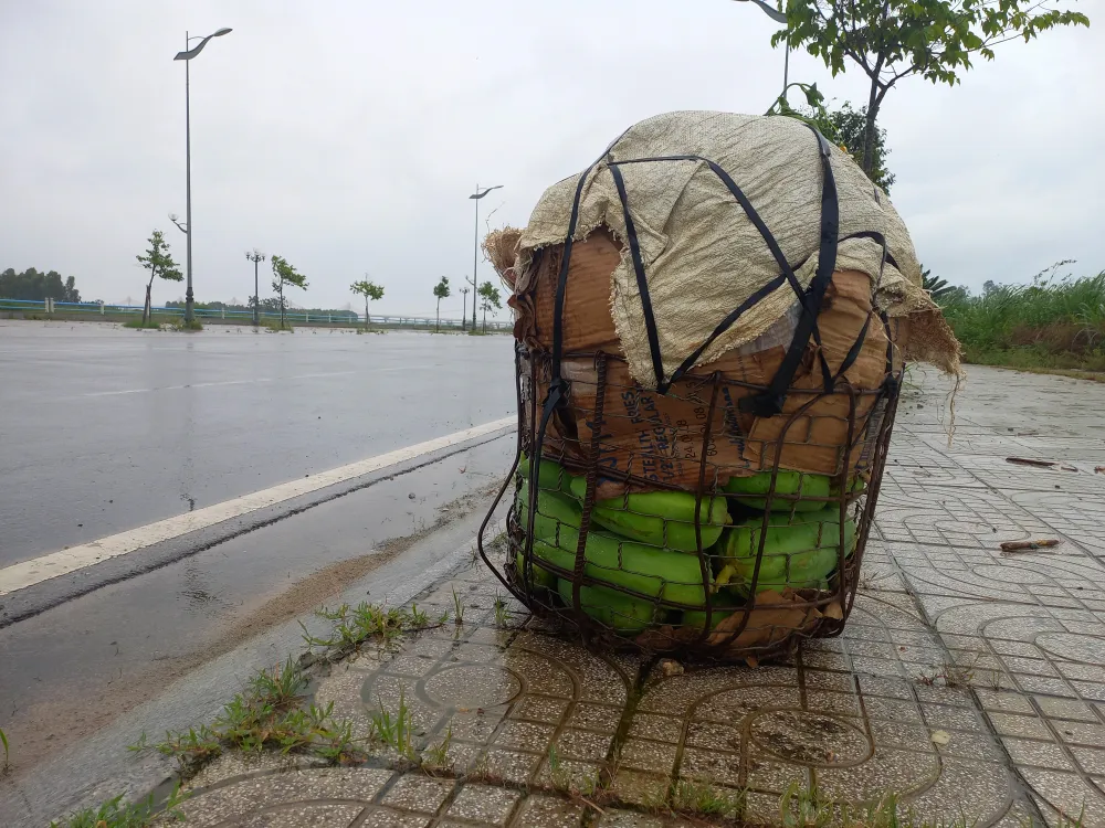 Ngư dân ùn ùn về cảng cá “chạy bão” ảnh 9