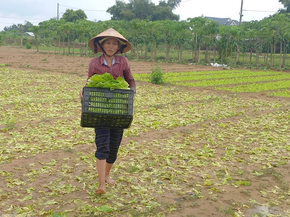 Ngư dân ùn ùn về cảng cá “chạy bão” ảnh 18