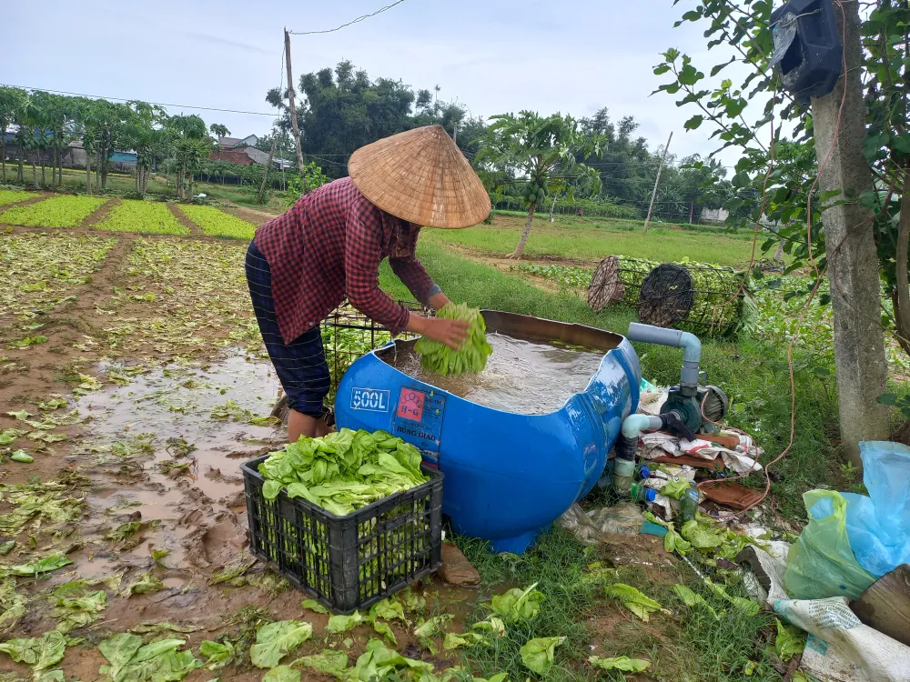 Ngư dân ùn ùn về cảng cá “chạy bão” ảnh 19