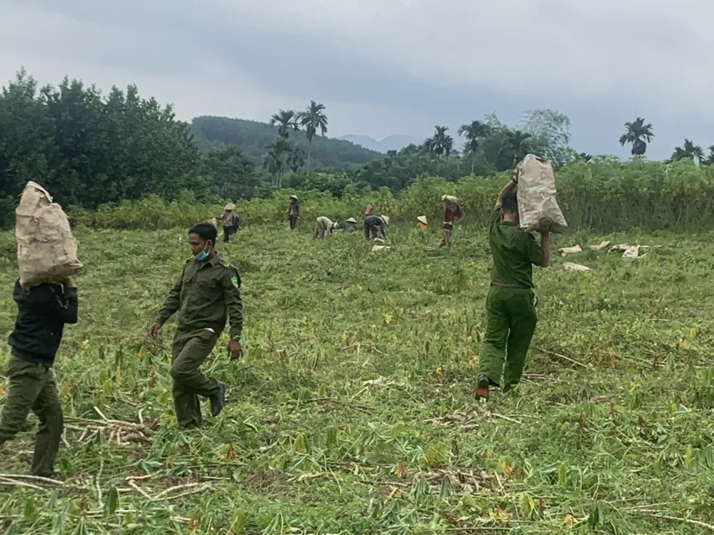 Quảng Ngãi: Vận động, di dời người dân ở vùng nguy hiểm đến nơi an toàn trú bão ảnh 13