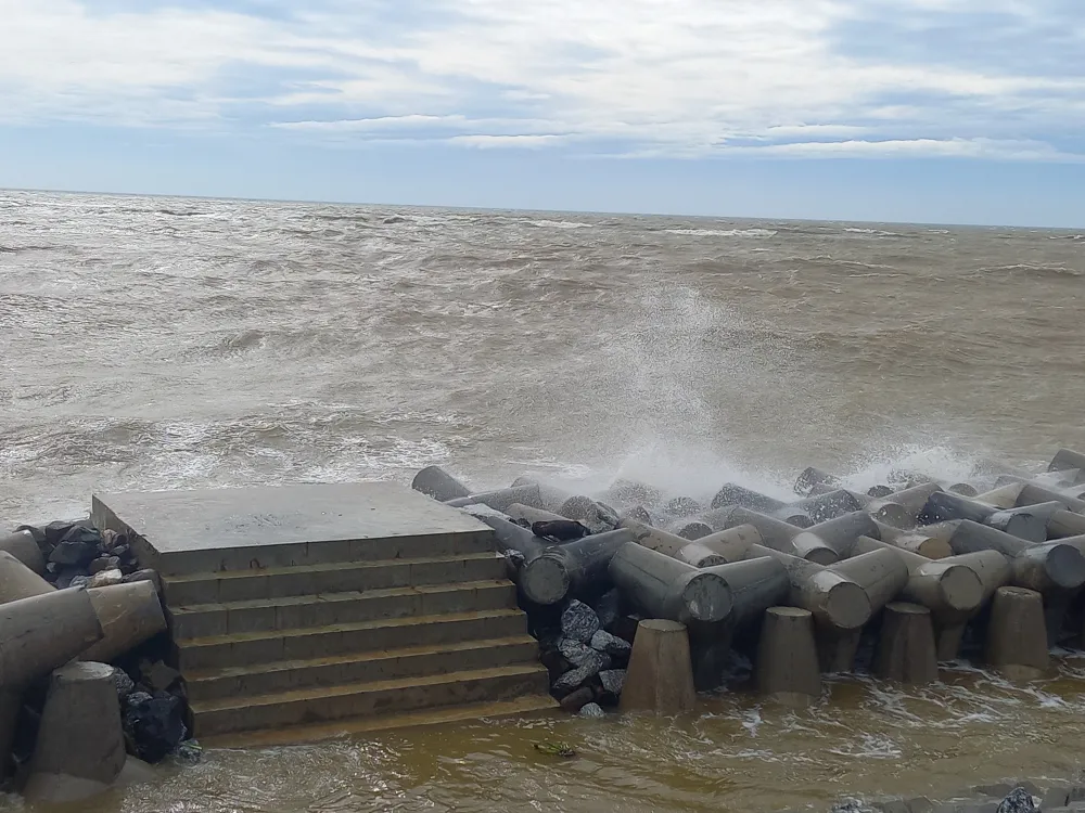 Quảng Ngãi: Cây trồng, hoa màu ngã đổ la liệt ảnh 11